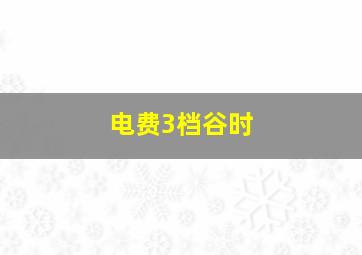 电费3档谷时