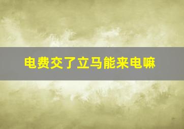 电费交了立马能来电嘛