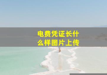 电费凭证长什么样图片上传