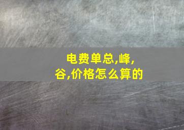 电费单总,峰,谷,价格怎么算的