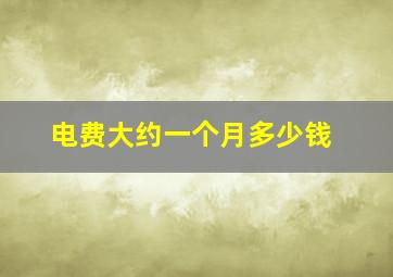 电费大约一个月多少钱