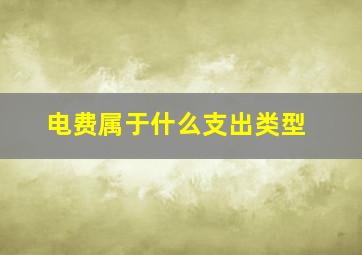 电费属于什么支出类型