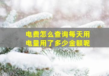 电费怎么查询每天用电量用了多少金额呢