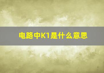 电路中K1是什么意思