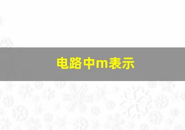 电路中m表示