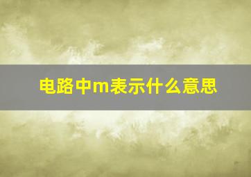 电路中m表示什么意思