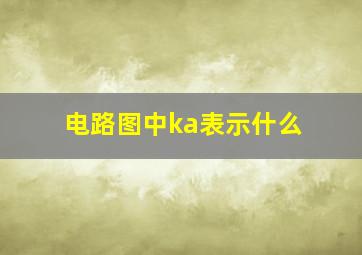 电路图中ka表示什么