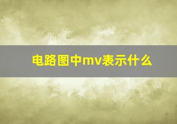 电路图中mv表示什么