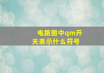 电路图中qm开关表示什么符号