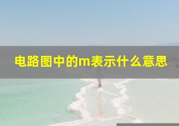 电路图中的m表示什么意思