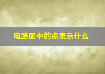 电路图中的点表示什么