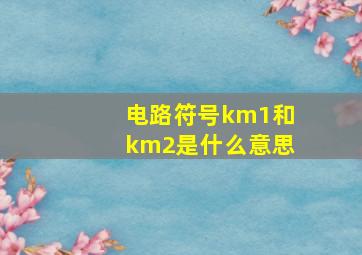 电路符号km1和km2是什么意思