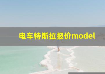 电车特斯拉报价model