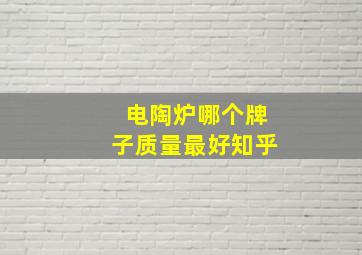 电陶炉哪个牌子质量最好知乎