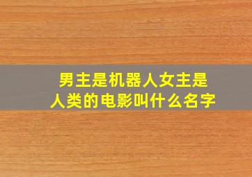 男主是机器人女主是人类的电影叫什么名字