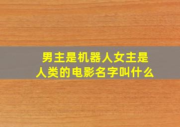 男主是机器人女主是人类的电影名字叫什么