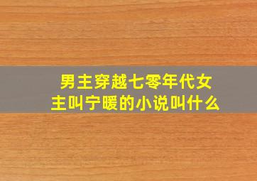 男主穿越七零年代女主叫宁暖的小说叫什么