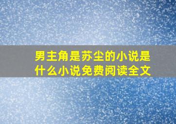 男主角是苏尘的小说是什么小说免费阅读全文