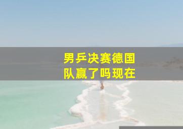 男乒决赛德国队赢了吗现在