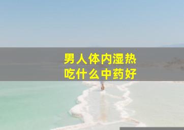 男人体内湿热吃什么中药好