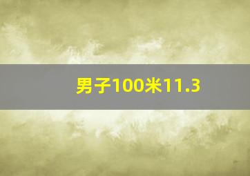 男子100米11.3