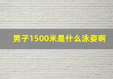 男子1500米是什么泳姿啊