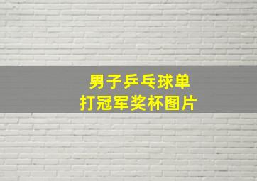 男子乒乓球单打冠军奖杯图片