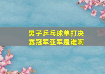 男子乒乓球单打决赛冠军亚军是谁啊