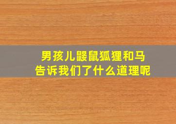 男孩儿鼹鼠狐狸和马告诉我们了什么道理呢