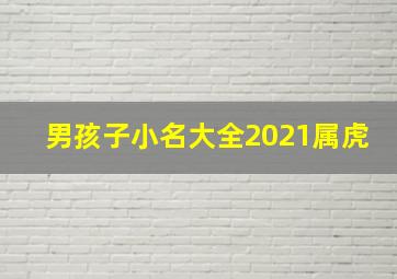 男孩子小名大全2021属虎