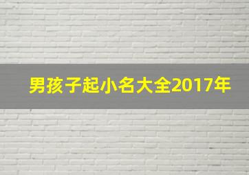 男孩子起小名大全2017年