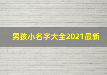 男孩小名字大全2021最新