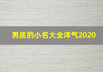 男孩的小名大全洋气2020