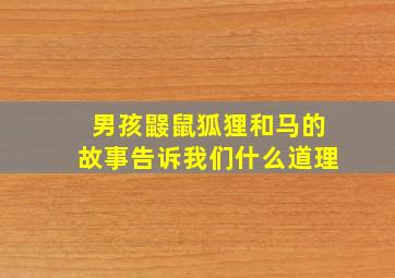 男孩鼹鼠狐狸和马的故事告诉我们什么道理