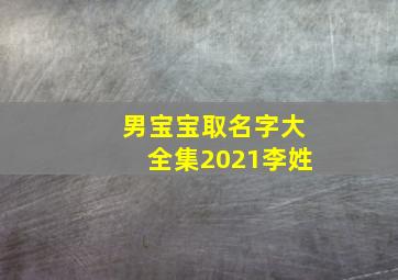 男宝宝取名字大全集2021李姓