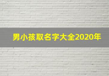 男小孩取名字大全2020年