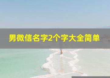 男微信名字2个字大全简单