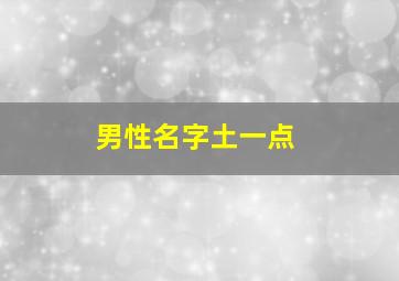 男性名字土一点