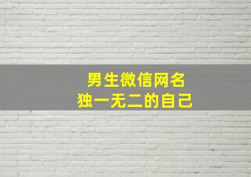 男生微信网名独一无二的自己