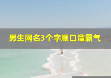 男生网名3个字顺口溜霸气