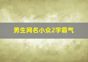 男生网名小众2字霸气