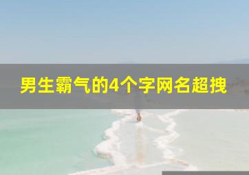 男生霸气的4个字网名超拽