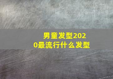 男童发型2020最流行什么发型