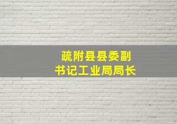 疏附县县委副书记工业局局长