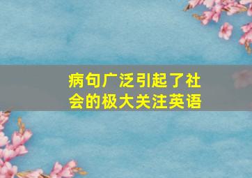 病句广泛引起了社会的极大关注英语