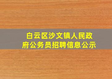 白云区沙文镇人民政府公务员招聘信息公示