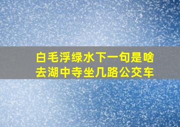 白毛浮绿水下一句是啥去湖中寺坐几路公交车