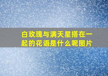 白玫瑰与满天星搭在一起的花语是什么呢图片