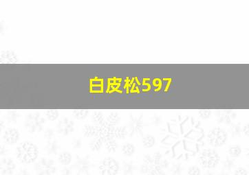 白皮松597