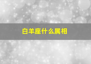 白羊座什么属相